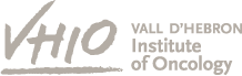 Logo VHIO